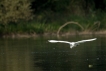 Photo nature