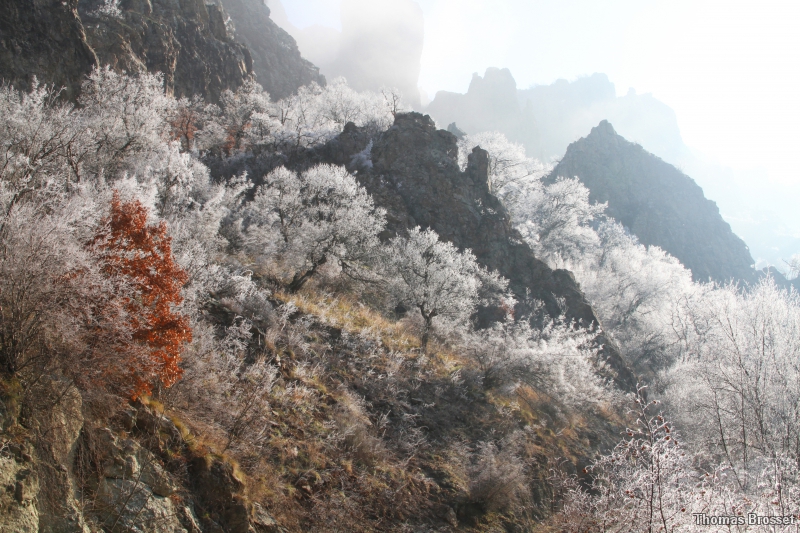 Photo Paysages naturels