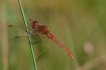 Photo nature