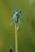 Photo nature