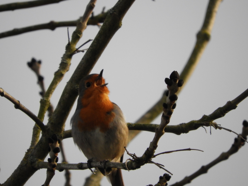DSCN3958.JPG
