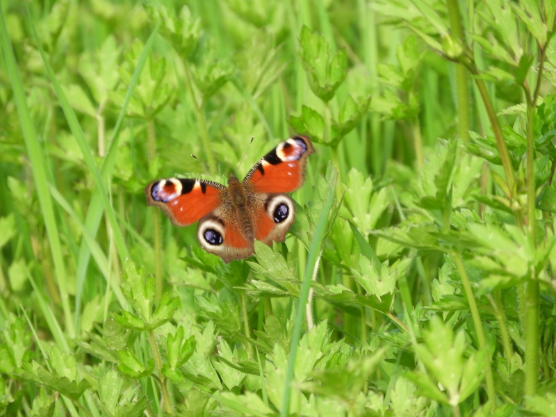DSCN4191.JPG
