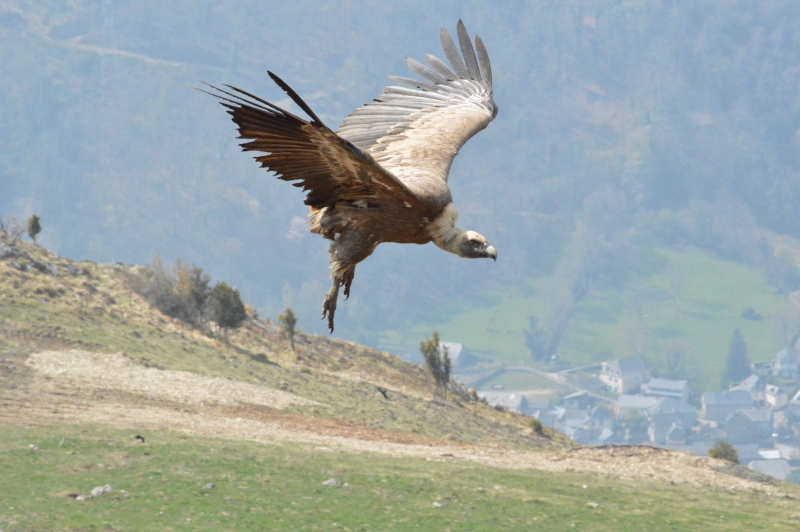 DSC_0108.JPG